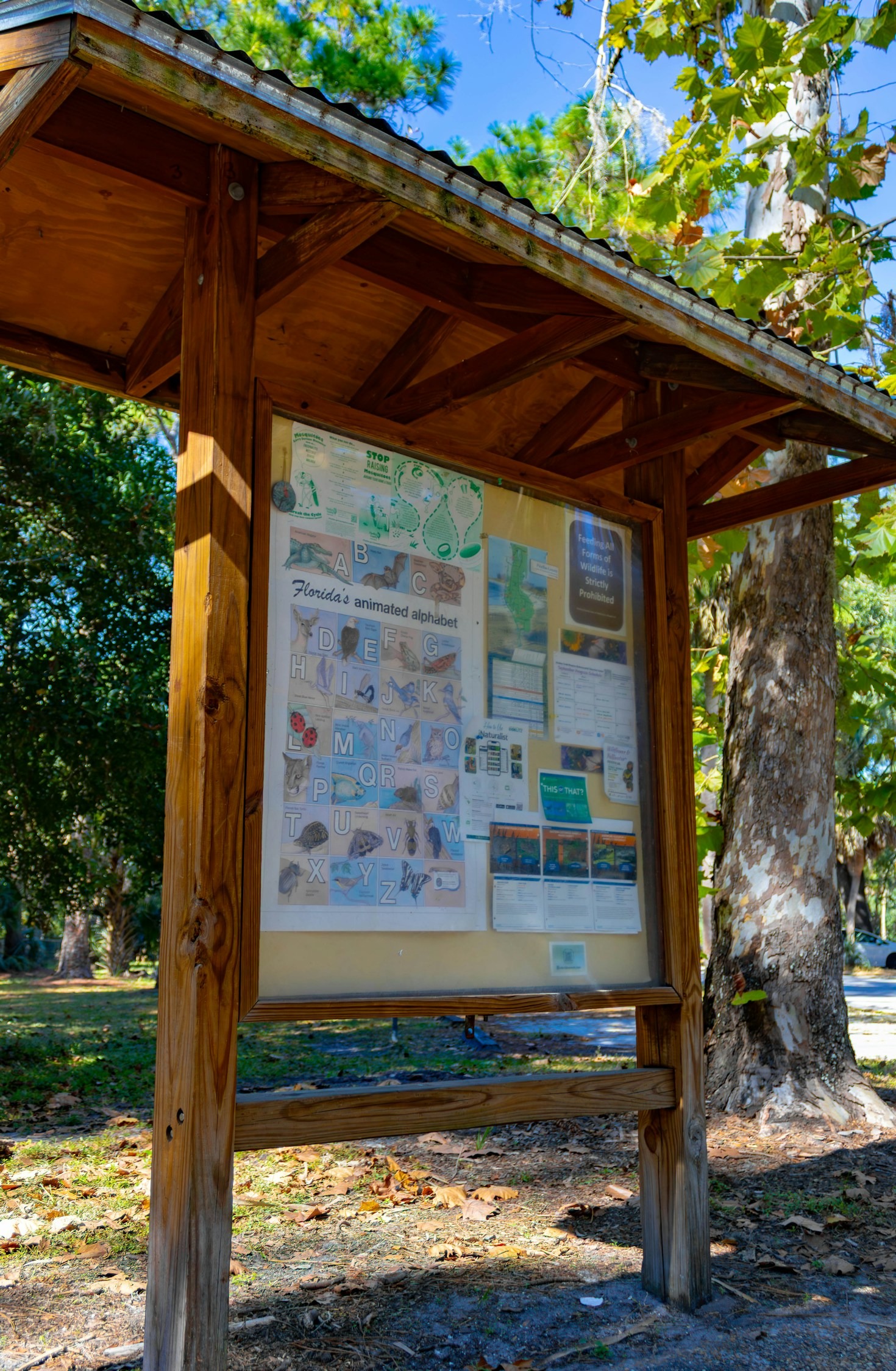 Naturnahes Lernen: Vorteile und Herausforderungen